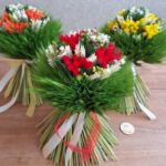 Zelená-výber nechajte na nás