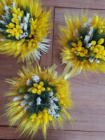 Sýto žlta – Obrázok 2