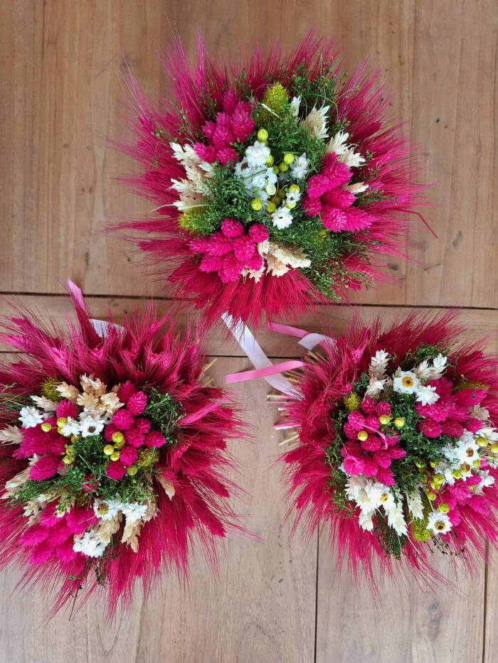 Sýta  cyklamenová – Obrázok 2