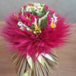 Cyklamenová  so žltou