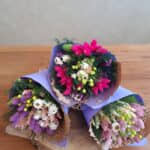 Kornút sušených kvetov  - fialový