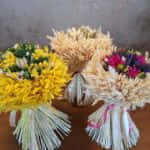 Výber nechajte na nás-novinka