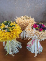 Výber nechajte na nás-novinka