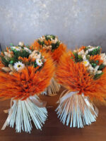 Krásne sýto oranžová